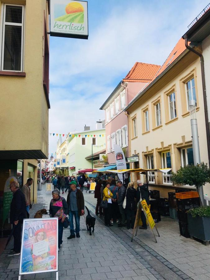 Boutique-Ferienwohnung Im Alten Weinhaus Moser Grünstadt Kültér fotó